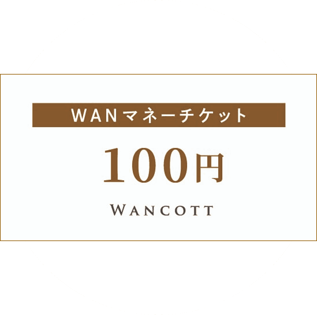 WANマネー イメージ画像