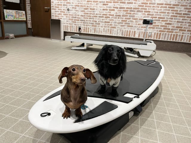 ※事前予約枠満枠※体幹トレーニング体験会