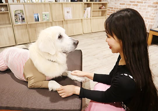 アニマルコミュニケーション