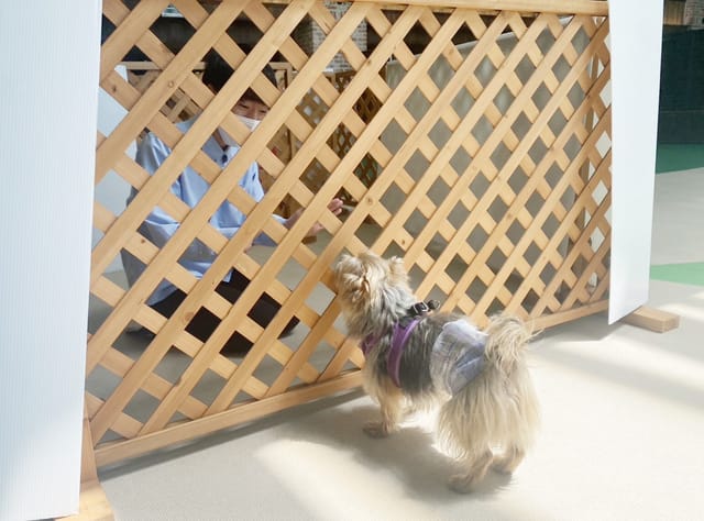 ※事前予約枠満枠※迷路”ママとパパに会えるかな?”