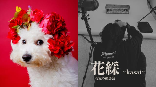 【当日受付】petomoni撮影会「花綵〜kasai〜」